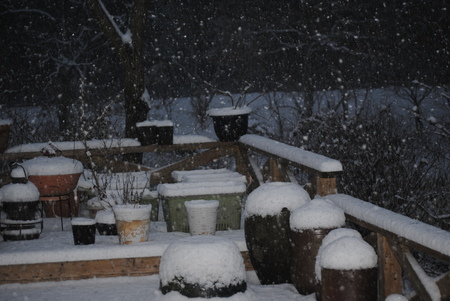 2019初めての積雪.jpg