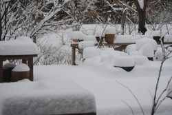 2019雪・10.jpg