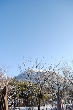 2018年1月.jpg