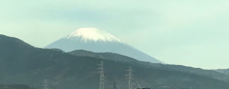 IMG_0338.jpg