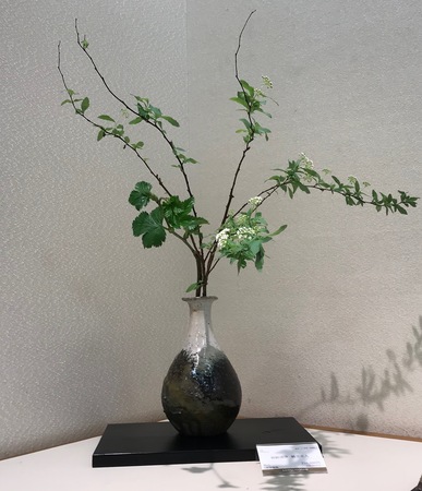 2019-01-23 18.17.46.jpeg