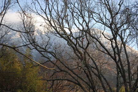 由布岳は雪化粧jpeg