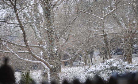 2・17久々の雪景色2jpeg
